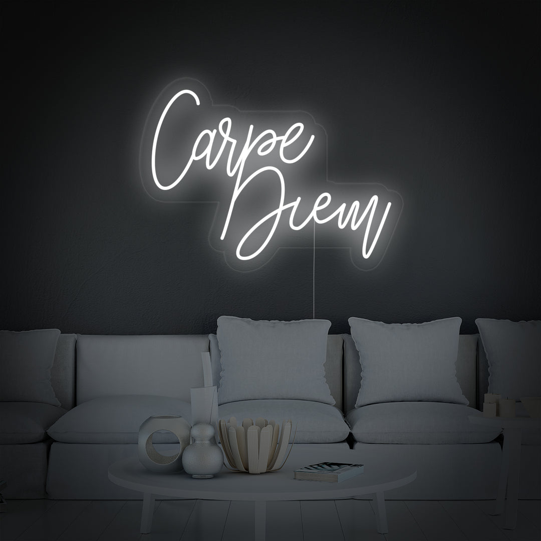 "Carpe Diem Latin Means Seize the Day" Neonskilt