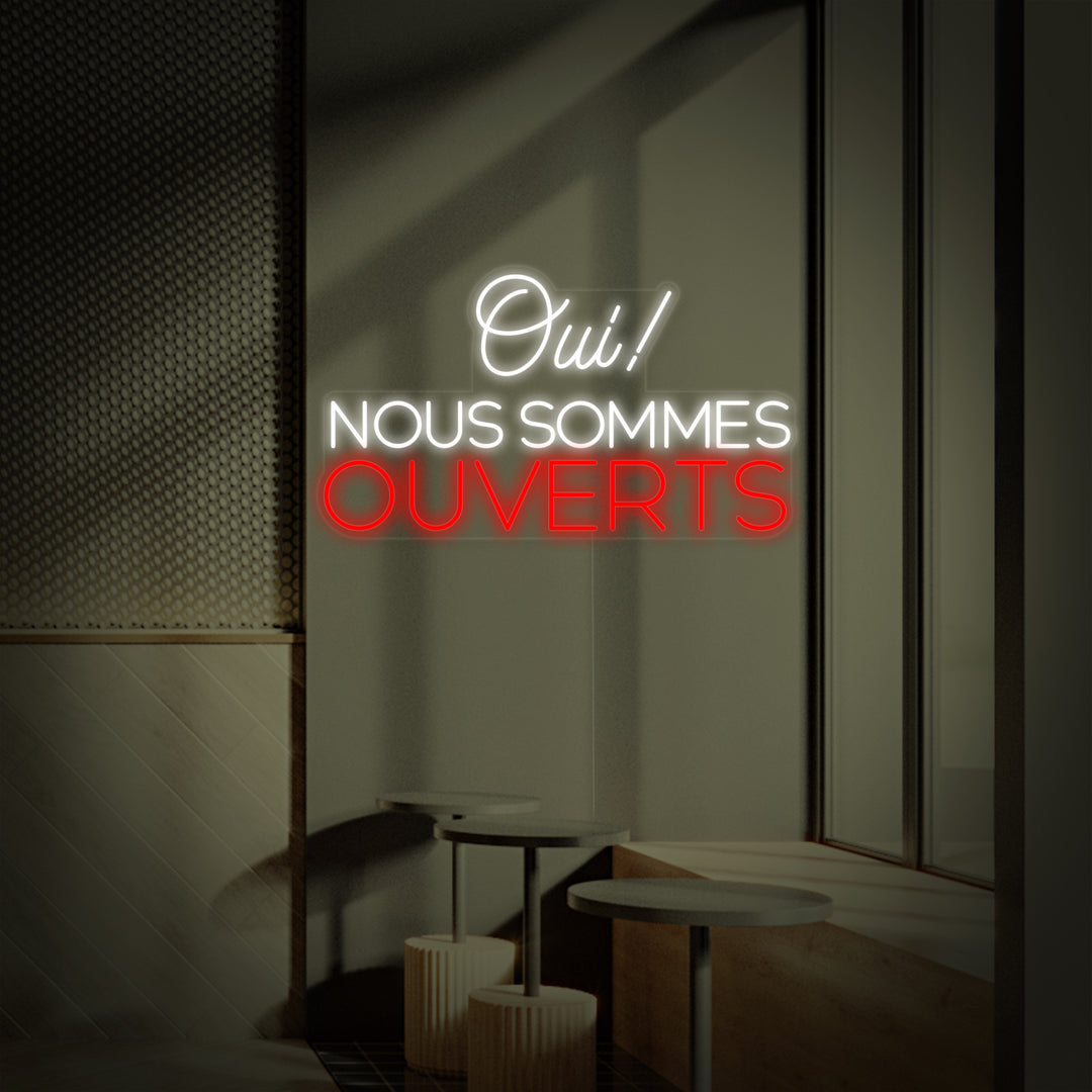 "Oui Nous Sommes Ouverts" Neonskilt